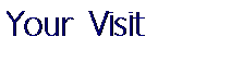 Text Box: Your Visit
